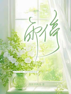 雨停小说封面图