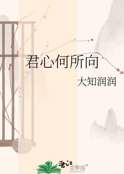 君心何所向小说封面图