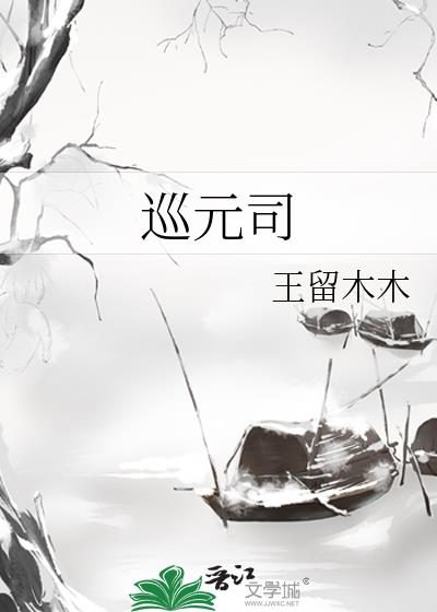 巡元司小说封面图