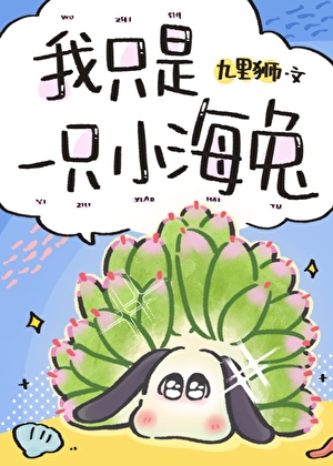 我只是一只小海兔，你还要我怎样！小说封面图