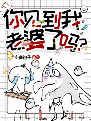 你见到我老婆了吗？小说封面图