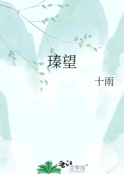 瑧望小说封面图