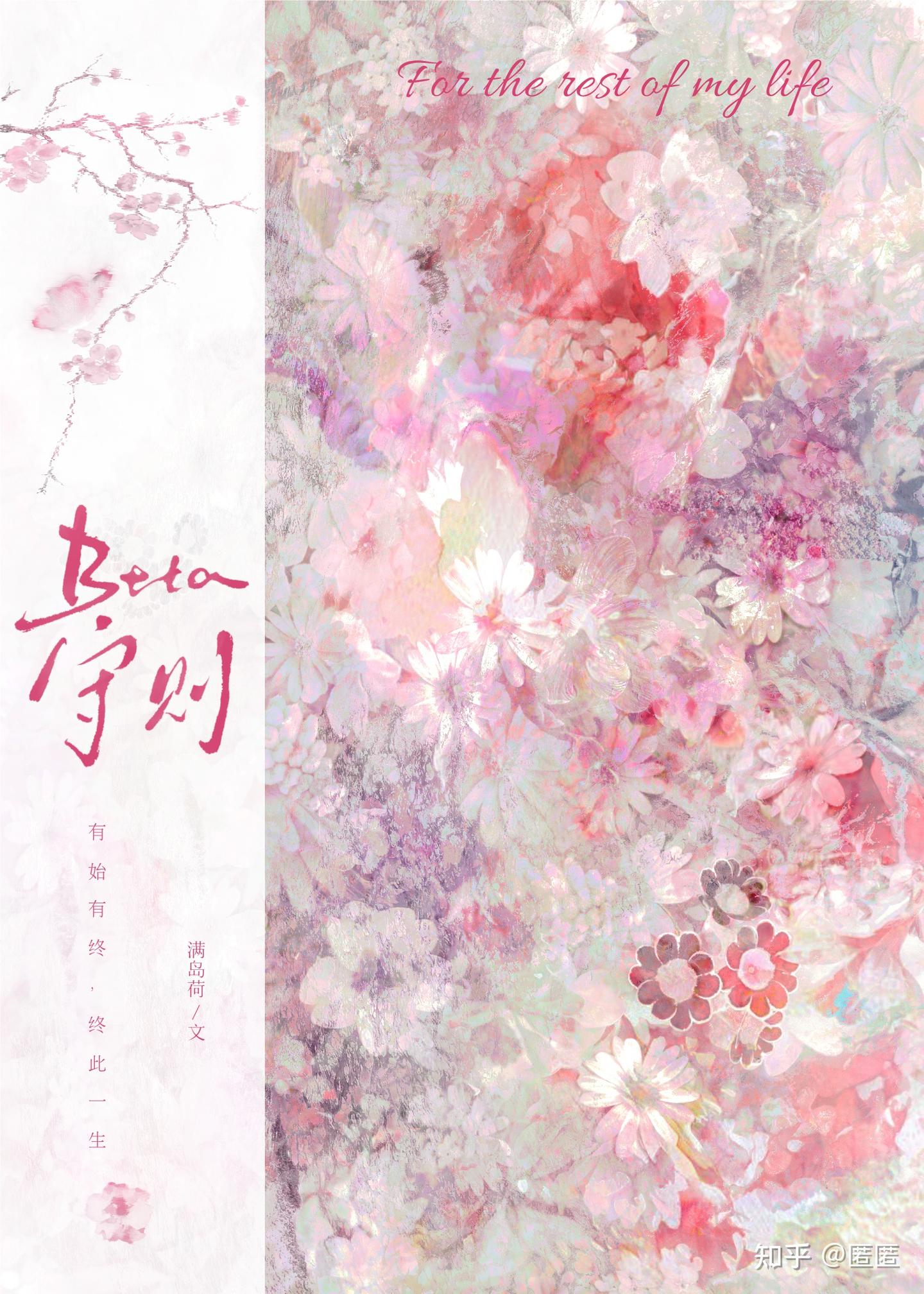 Beta守则小说封面图