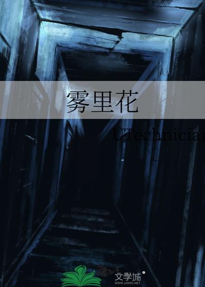 雾里花小说封面图