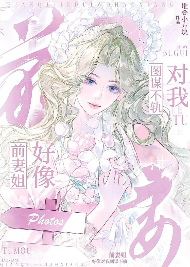 前妻姐好像对我图谋不轨小说封面图