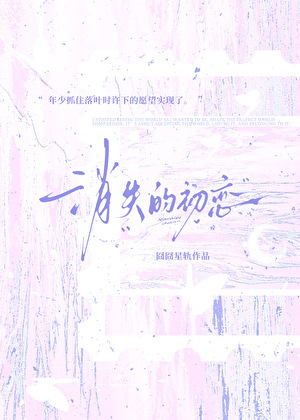 消失的初恋小说封面图