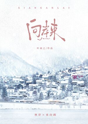 向岸来小说封面图