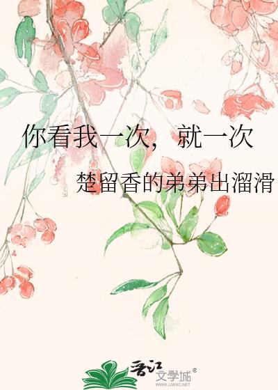 你看我一次，就一次小说封面图