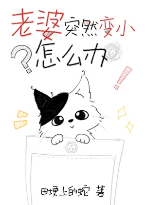 老婆突然变小了怎么办？小说封面图