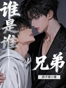 谁是谁兄弟小说封面图