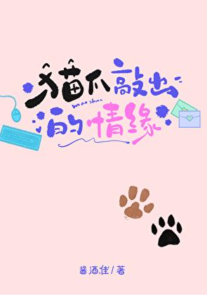 猫爪敲出的情缘小说封面图