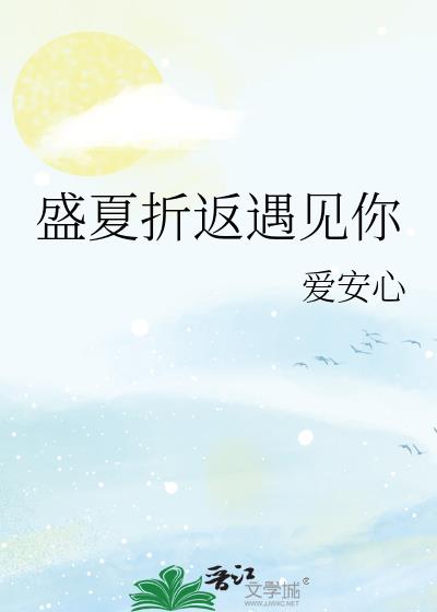 盛夏折返遇见你小说封面图