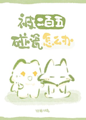 被二百五碰瓷怎么办小说封面图