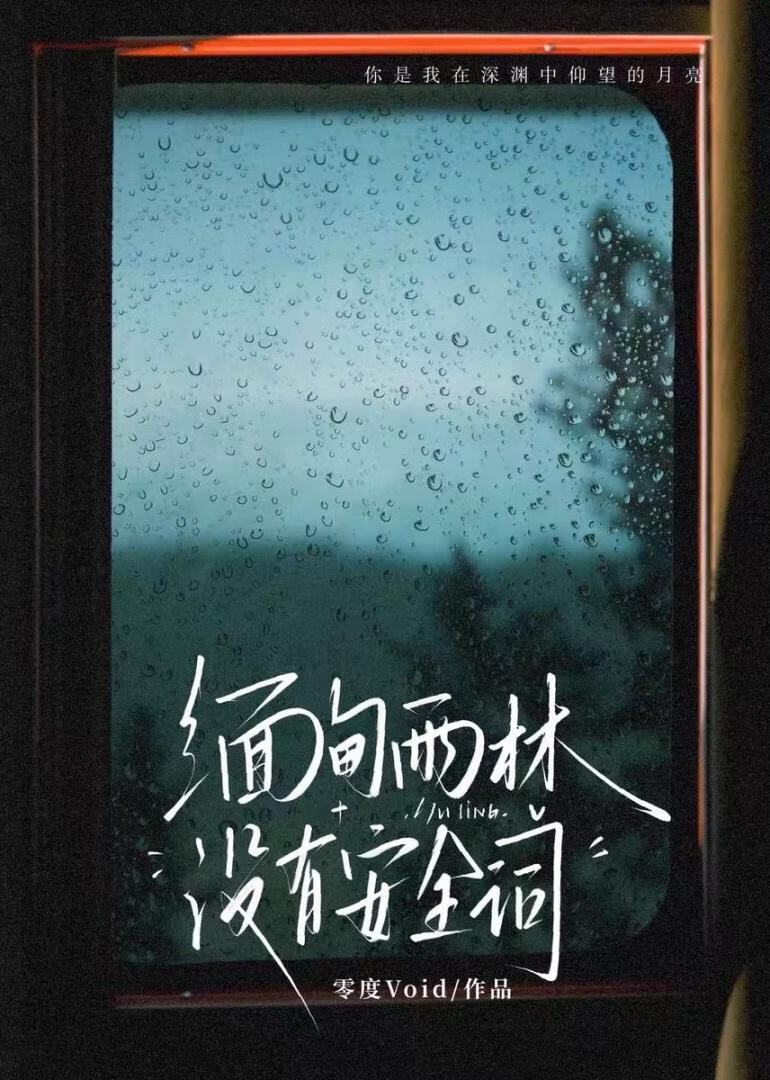 缅甸雨林没有安全词小说封面图