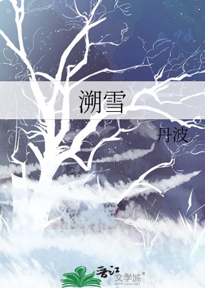 溯雪小说封面图