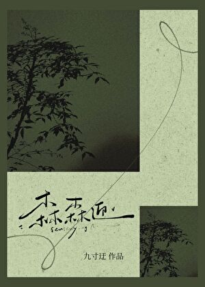 森森迎小说封面图
