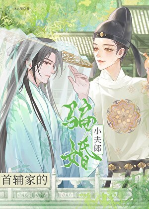 首辅家的骗婚小夫郎小说封面图