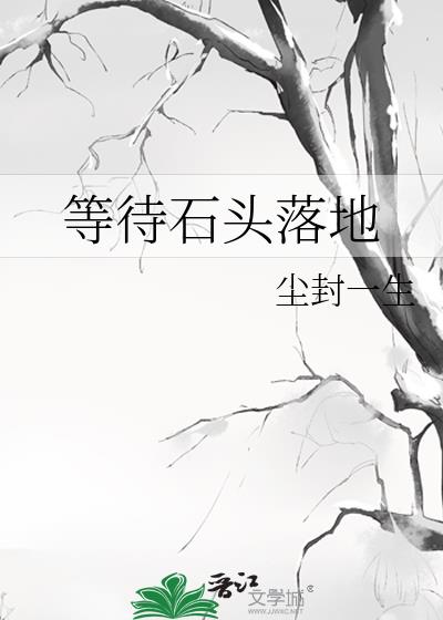 等待石头落地小说封面图