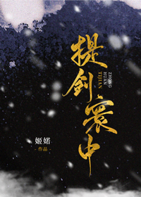 提剑寰中小说封面图