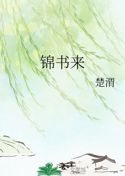 锦书来小说封面图