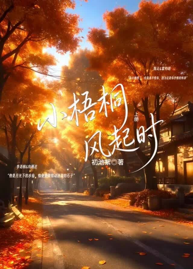 小梧桐-风起时小说封面图