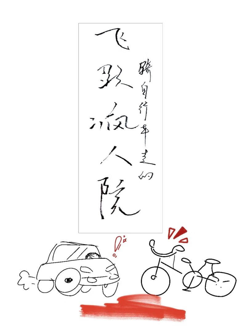 飞跃疯人院小说封面图