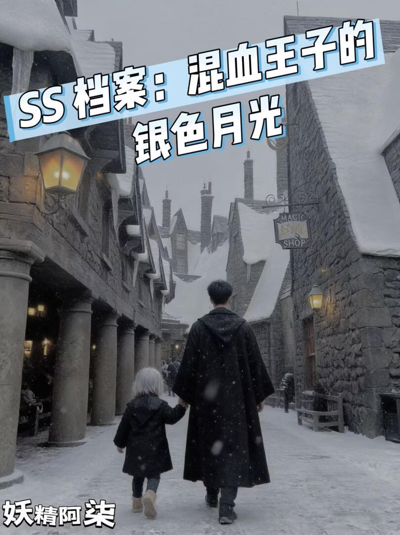 SS文件:混血王子的银色月光小说封面图