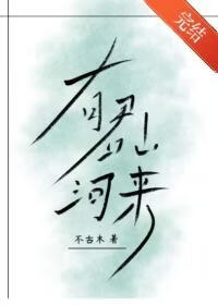 有君山河来小说封面图