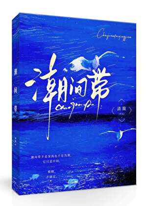 潮间带小说封面图
