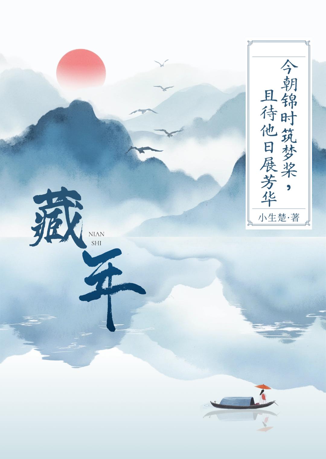 藏年小说封面图
