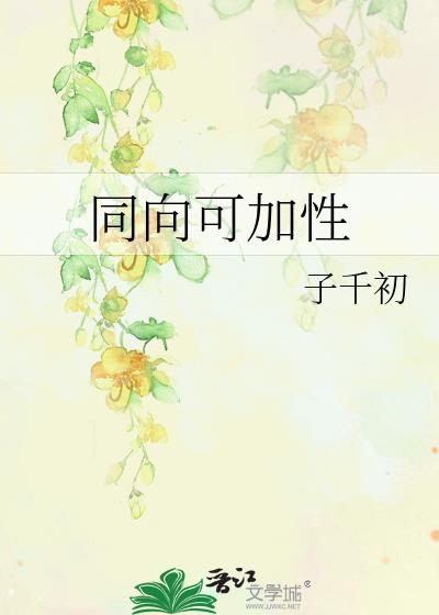 同向可加性小说封面图
