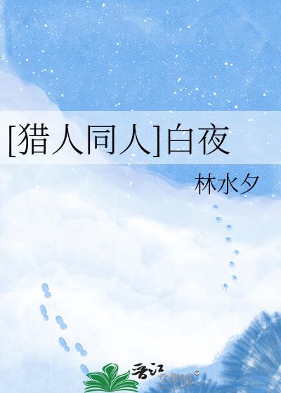 [猎人同人]白夜小说封面图