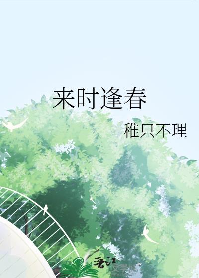 来时逢春小说封面图