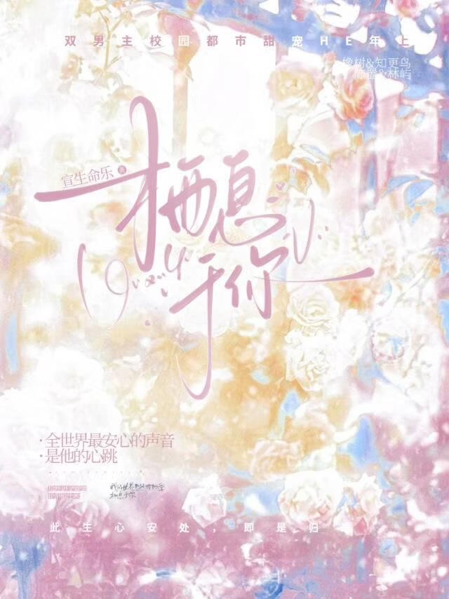 栖息于你小说封面图