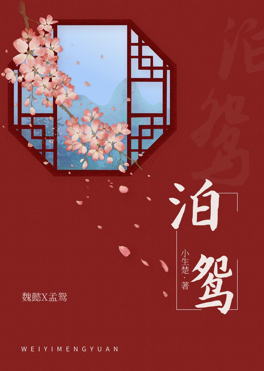 泊鸳小说封面图
