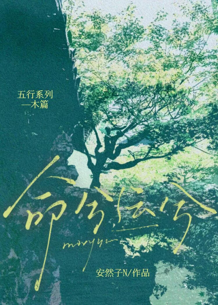 命兮运兮小说封面图
