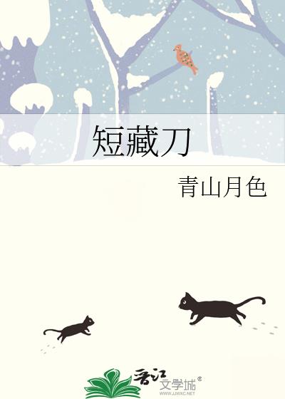 短藏刀小说封面图