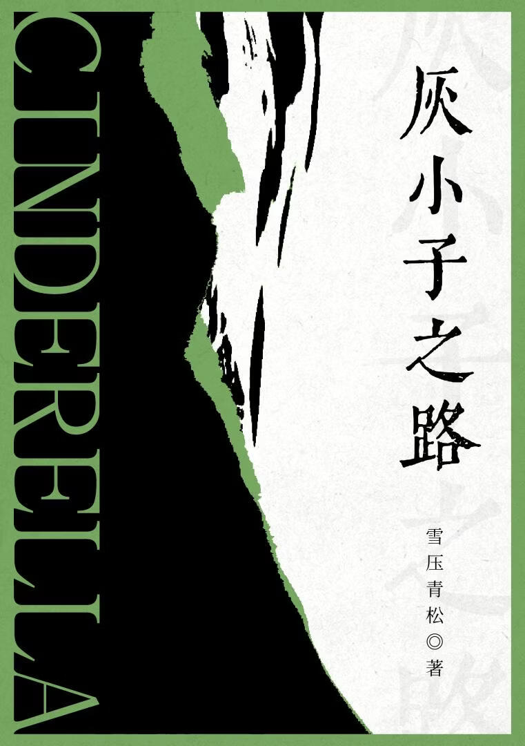 灰小子之路小说封面图