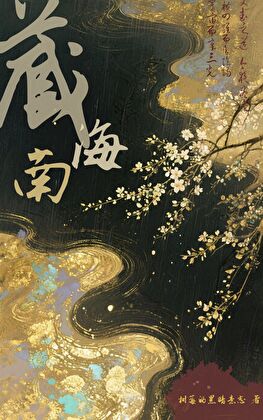 藏南海小说封面图