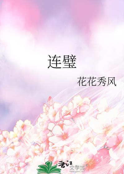连璧小说封面图