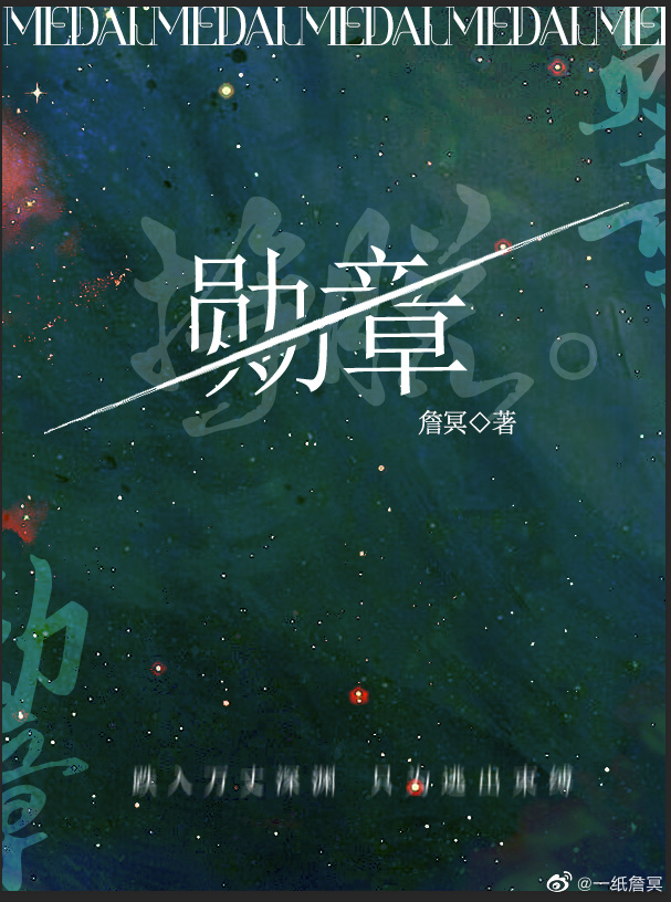 勋章小说封面图