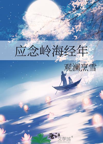 应念岭海经年小说封面图