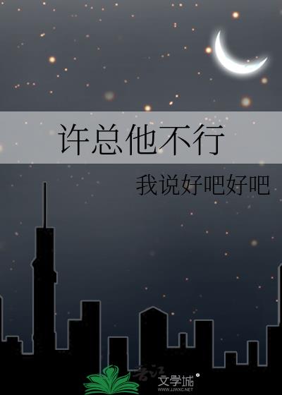 许总他不行小说封面图