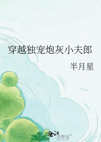 穿越独宠炮灰小夫郎小说封面图
