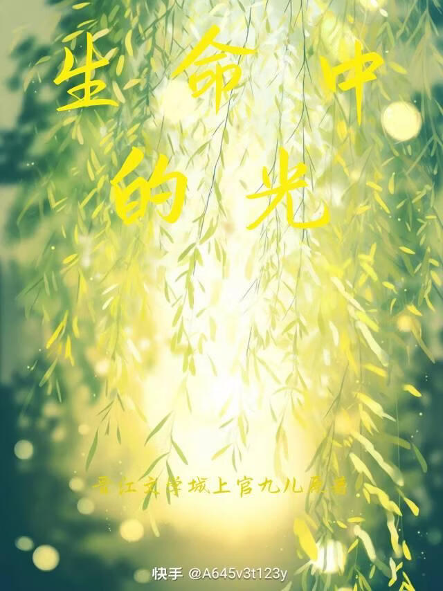 生命中的光小说封面图
