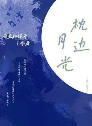 枕边月光小说封面图