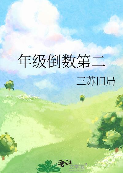 年级倒数第二小说封面图