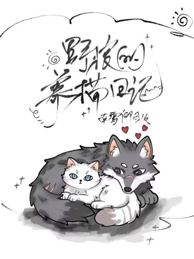 野狼的养猫日记小说封面图