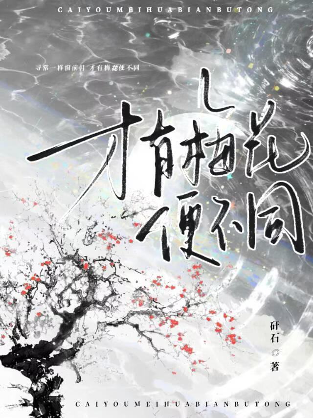 才有梅花便不同小说封面图