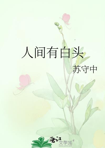 人间有白头小说封面图